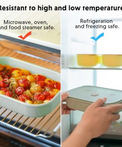 G67 Electric Food Steamer with Ceramic Lunch Box - Bundle Offer